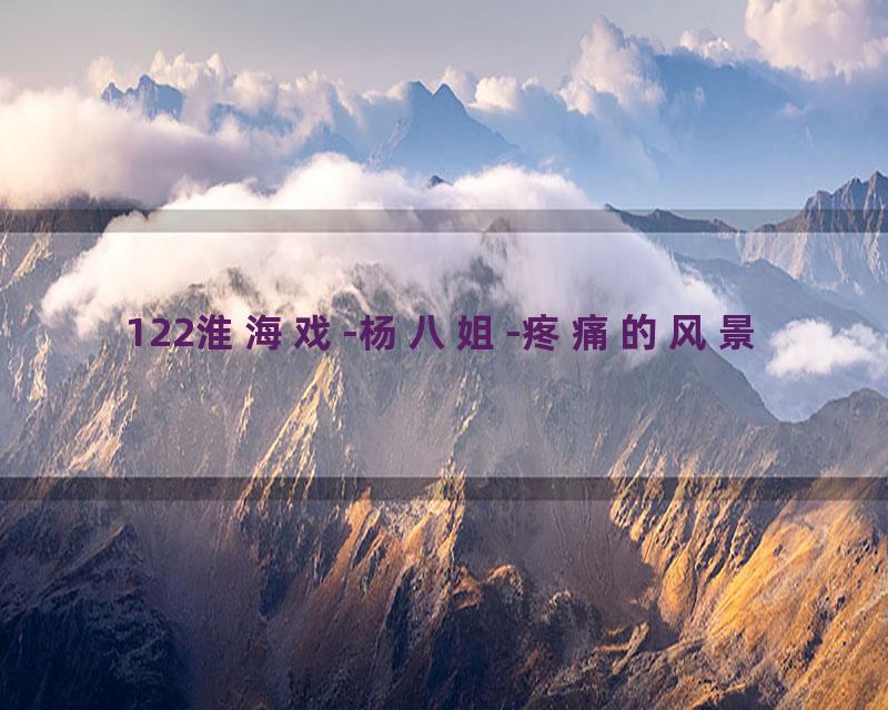 122淮海戏-杨八姐-疼痛的风景