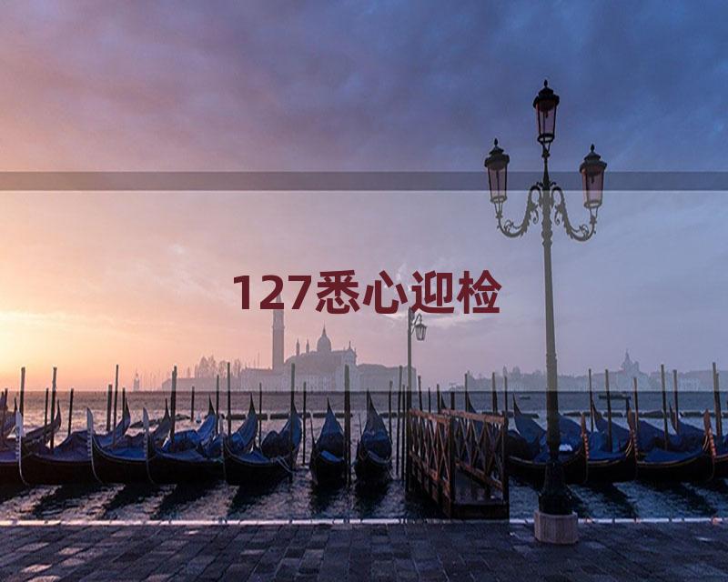 127悉心迎检