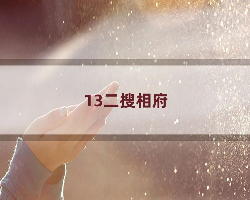 13二搜相府