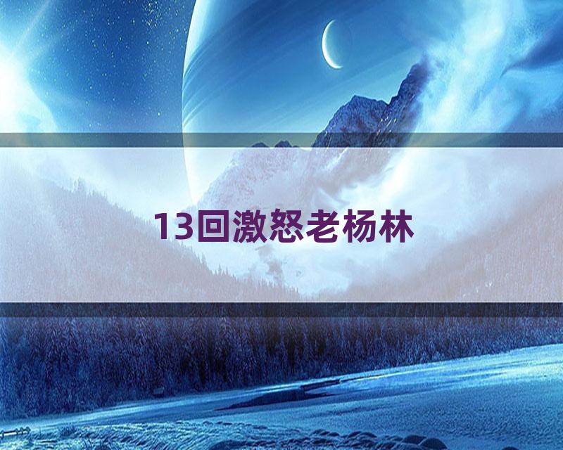 13回激怒老杨林