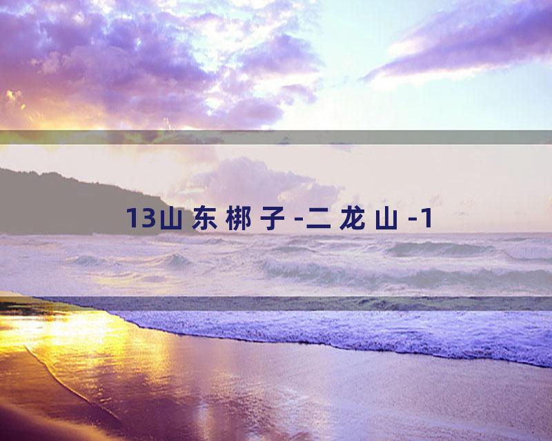 13山东梆子-二龙山-1