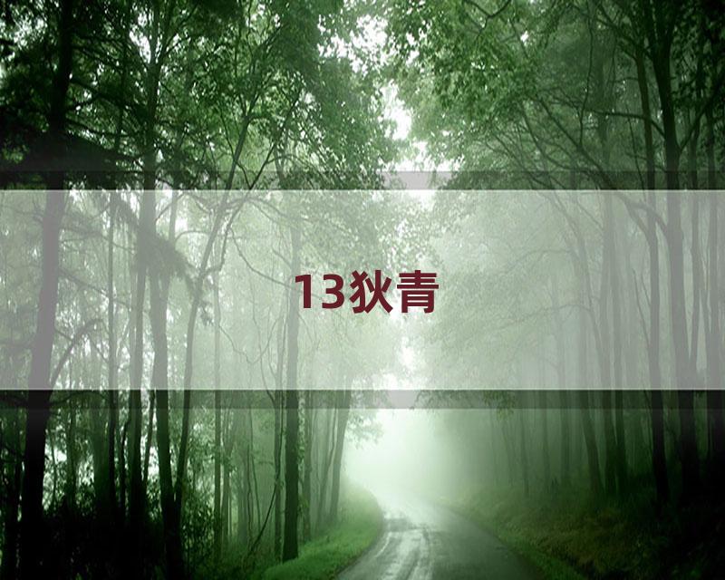 13狄青