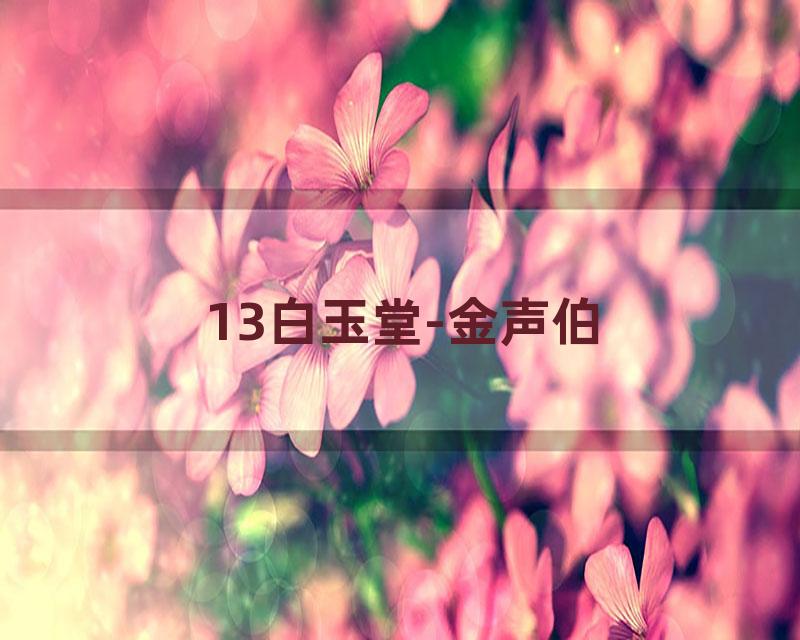 13白玉堂-金声伯