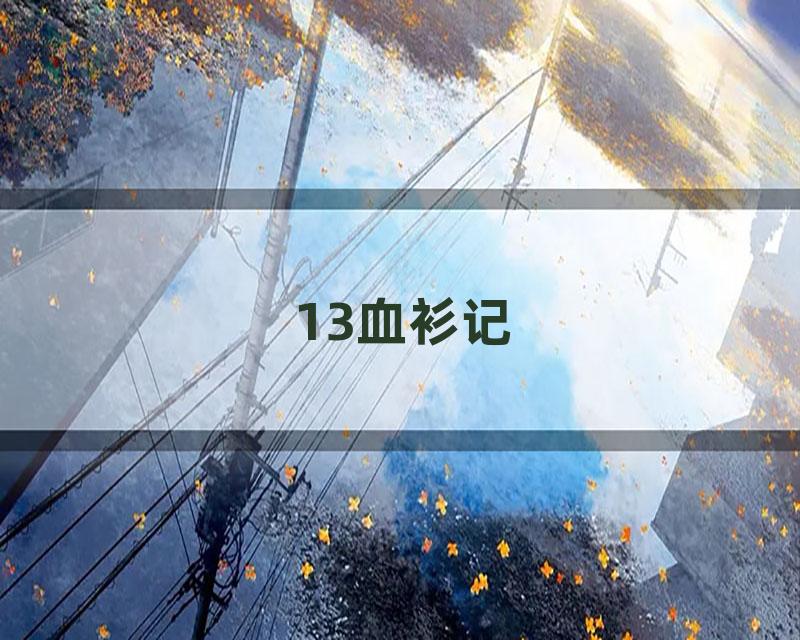 13血衫记