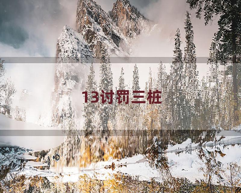 13讨罚三桩