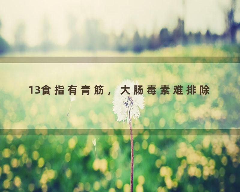 13食指有青筋，大肠毒素难排除