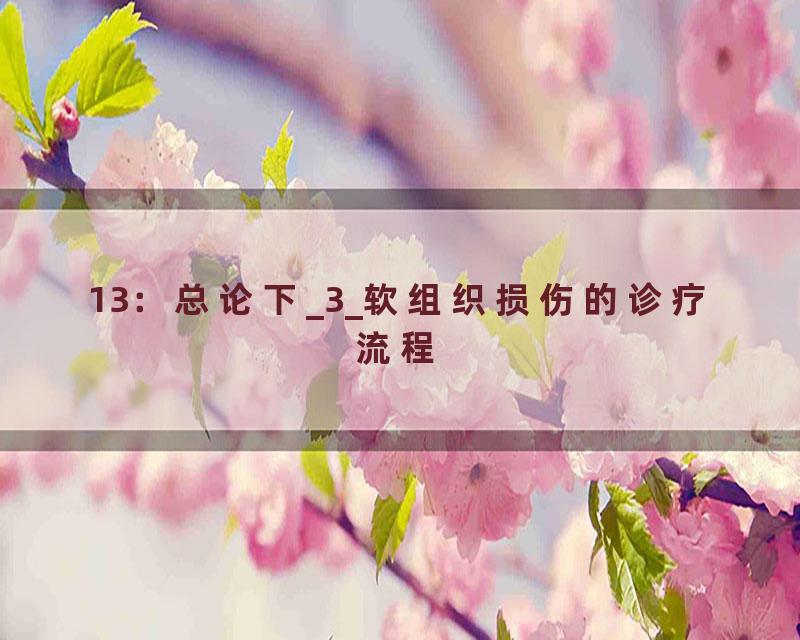 13：总论下_3_软组织损伤的诊疗流程