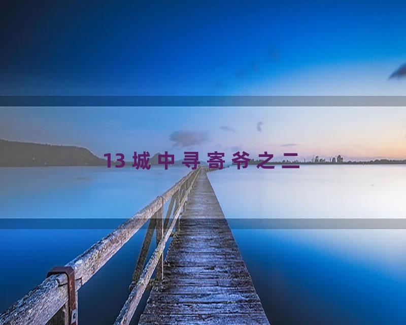 13 城中寻寄爷之二