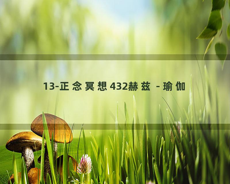 13-正念冥想432赫兹 - 瑜伽