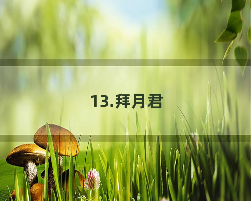 13.拜月君