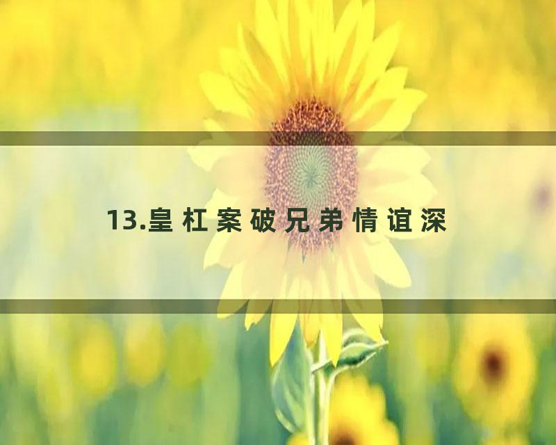 13.皇杠案破兄弟情谊深