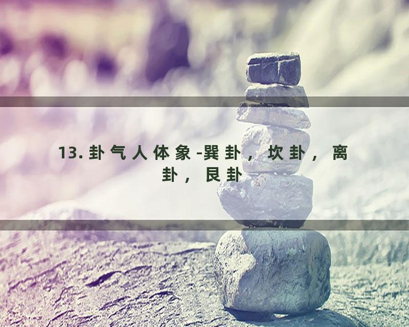 13. 卦气人体象-巽卦，坎卦，离卦，艮卦