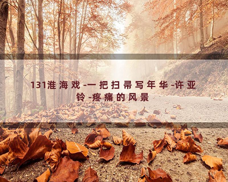 131淮海戏-一把扫帚写年华-许亚铃-疼痛的风景