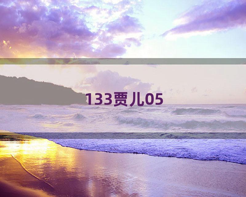 133贾儿05