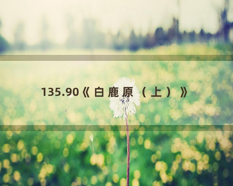 135.90《白鹿原（上）》