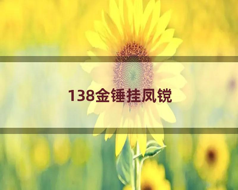 138金锤挂凤镋