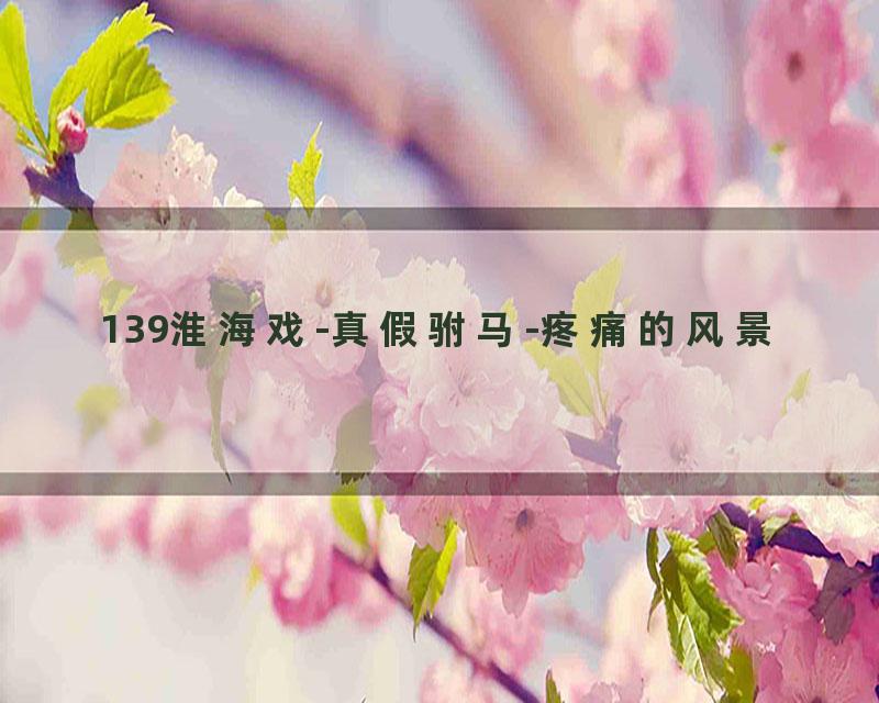 139淮海戏-真假驸马-疼痛的风景