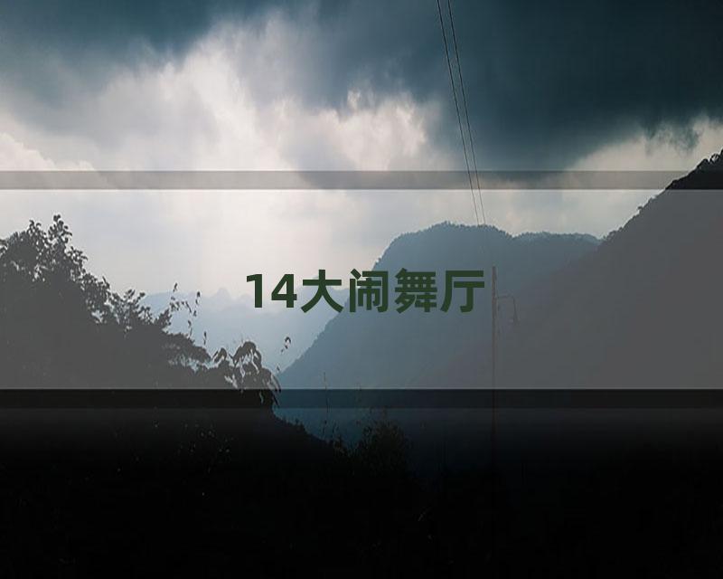 14大闹舞厅