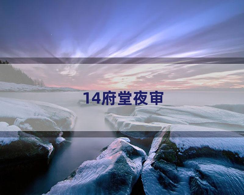 14府堂夜审