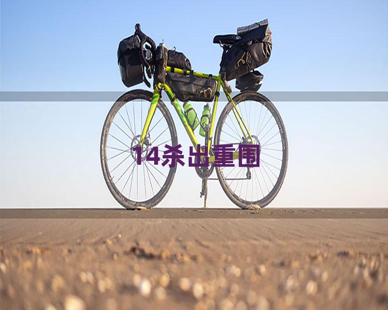 14杀出重围