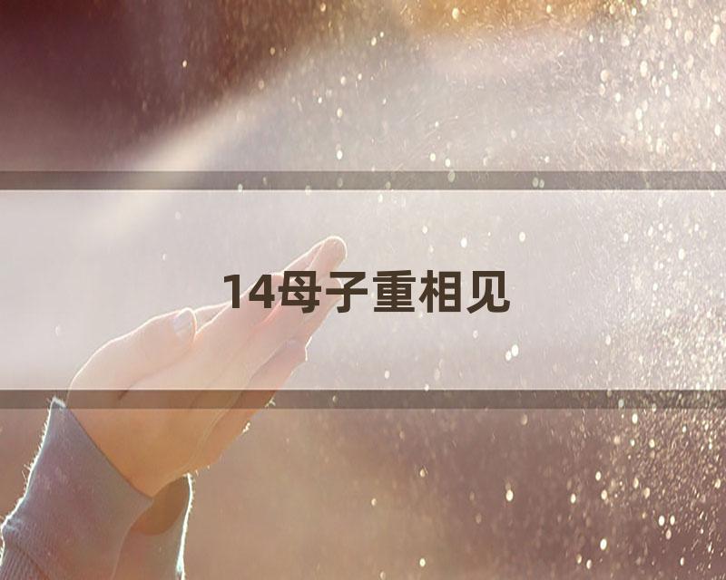 14母子重相见