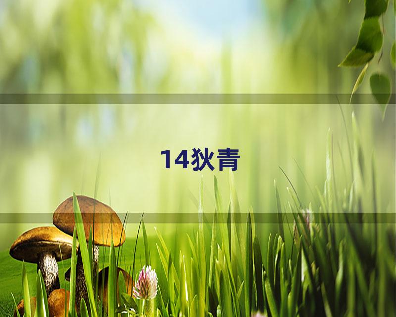 14狄青
