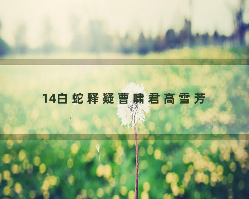 14白蛇释疑曹啸君高雪芳