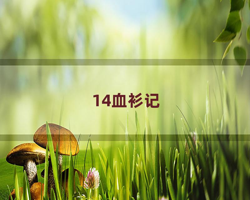 14血衫记