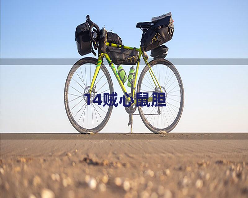 14贼心鼠胆