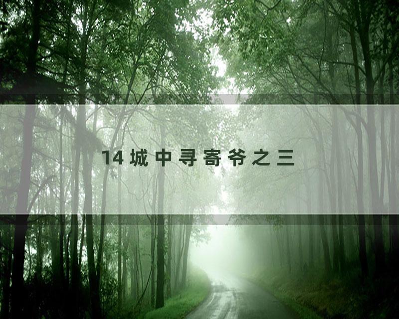 14 城中寻寄爷之三