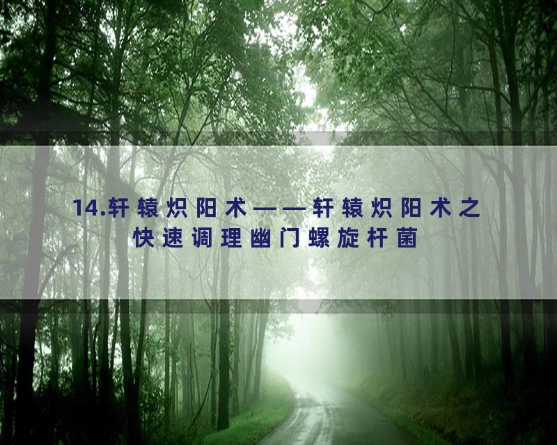 14.轩辕炽阳术——轩辕炽阳术之快速调理幽门螺旋杆菌