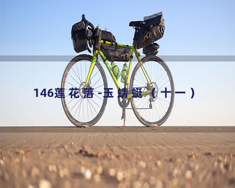 146莲花落-玉蜻蜓（十一）