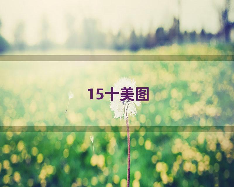 15十美图