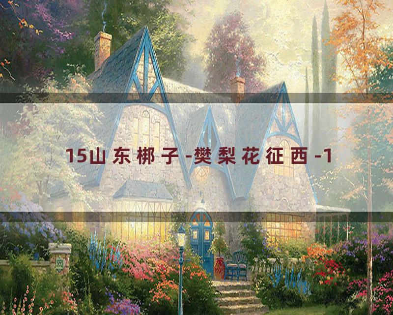 15山东梆子-樊梨花征西-1