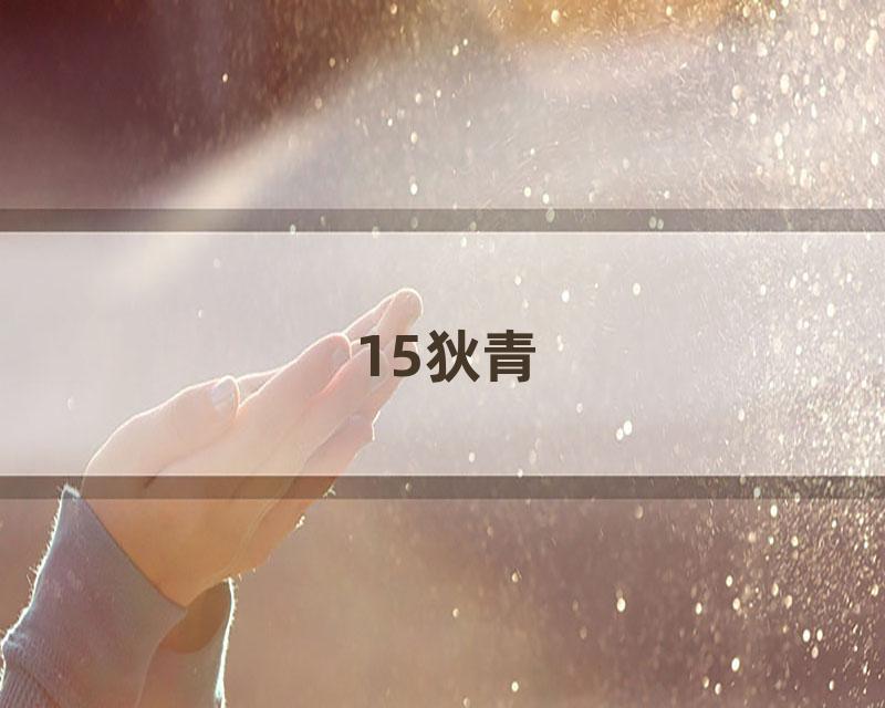 15狄青