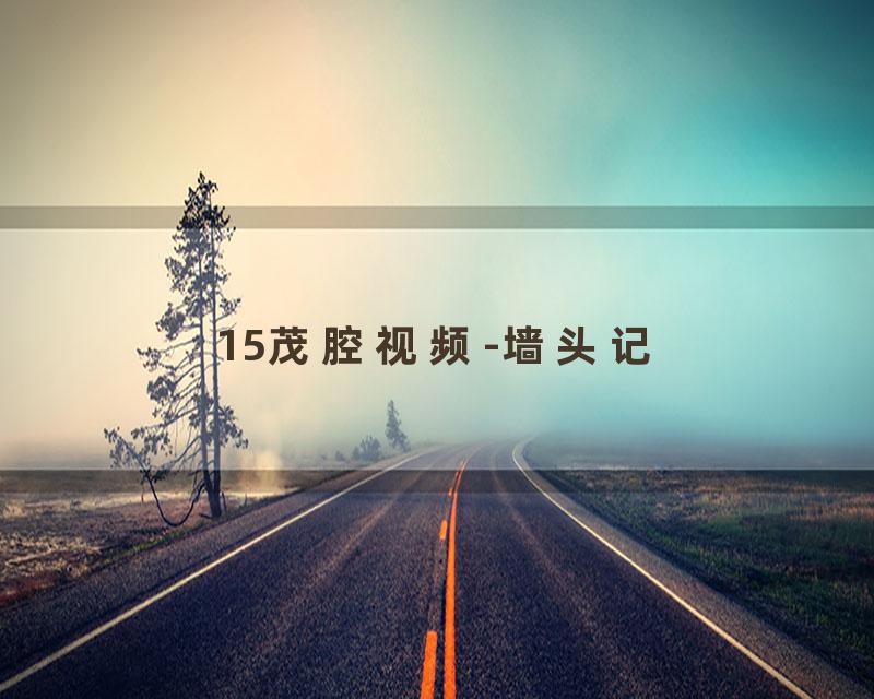 15茂腔视频-墙头记