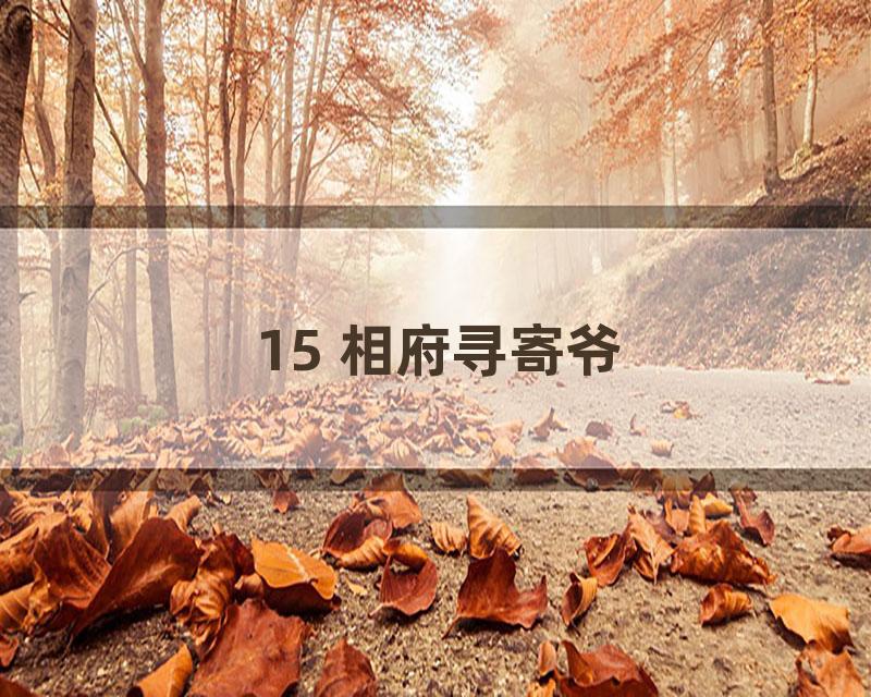 15 相府寻寄爷