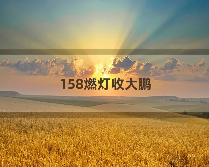 158燃灯收大鹏