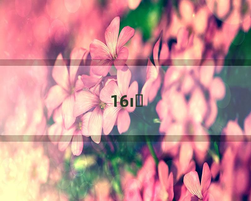 16ıְ
