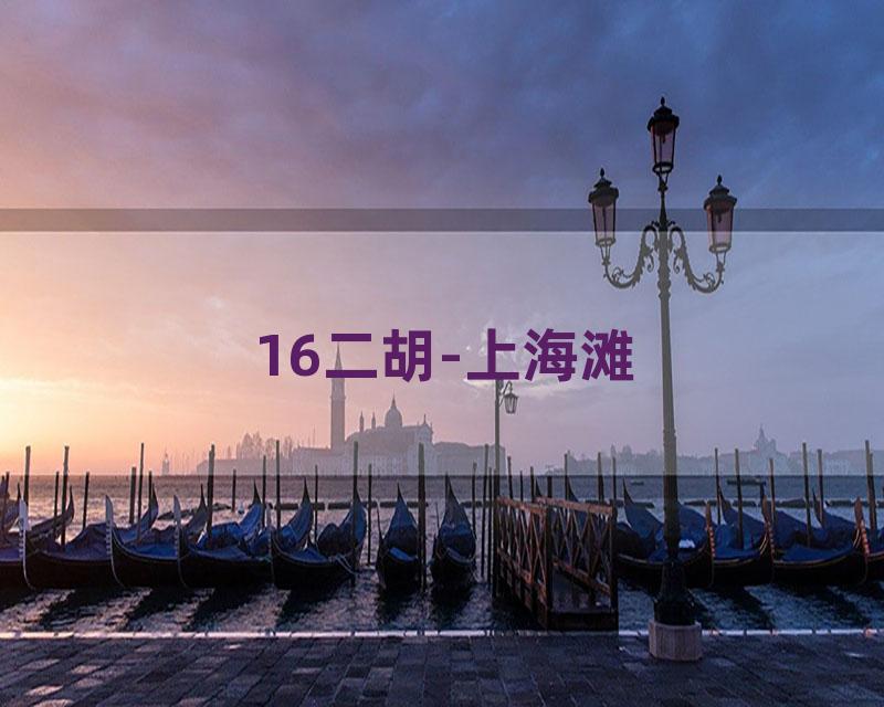 16二胡-上海滩