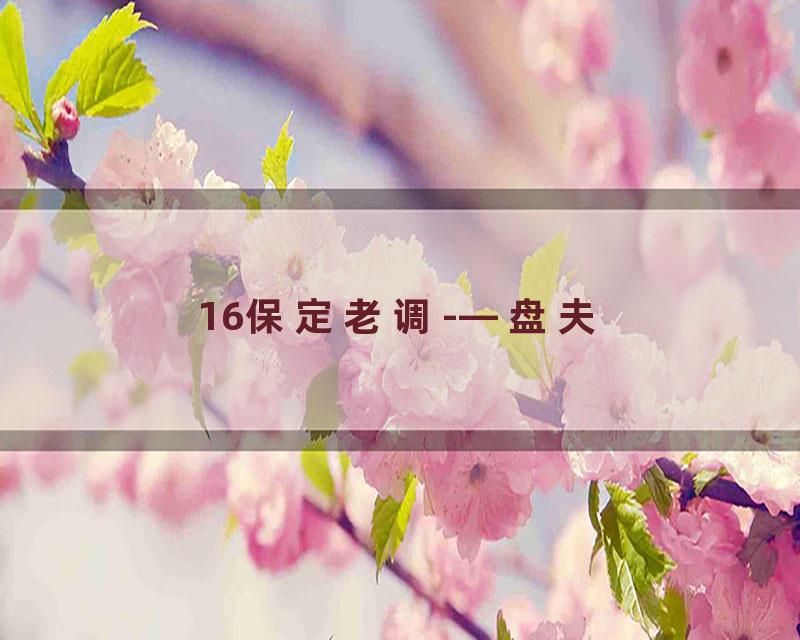 16保定老调-—盘夫