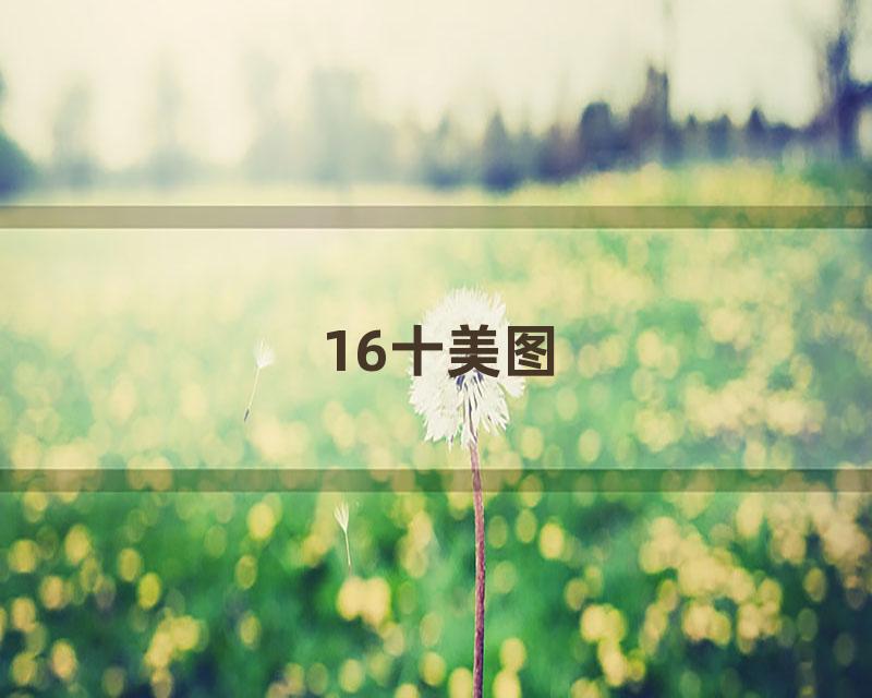 16十美图