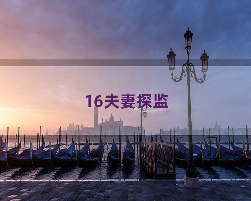 16夫妻探监