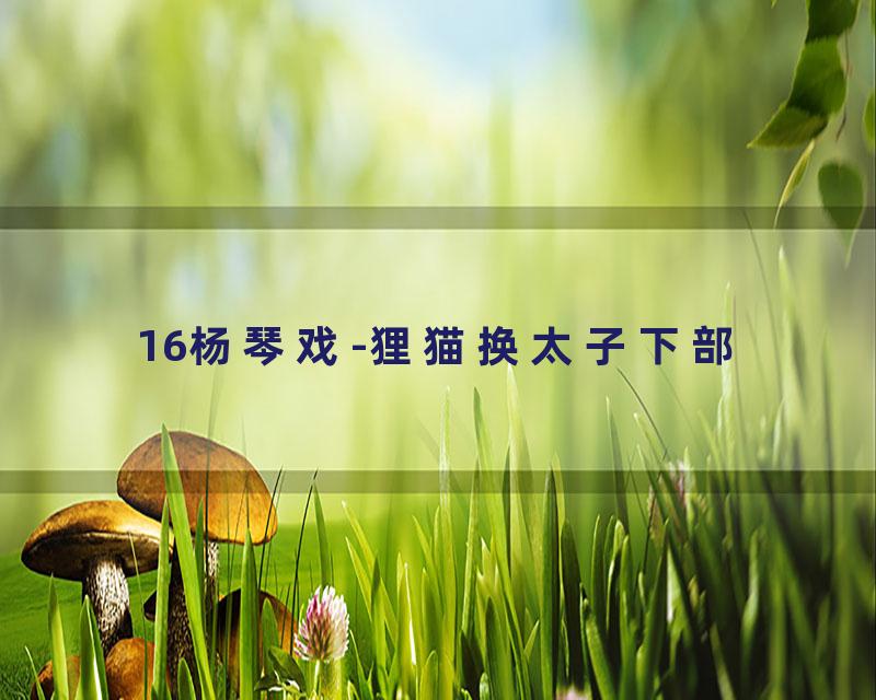 16杨琴戏-狸猫换太子下部