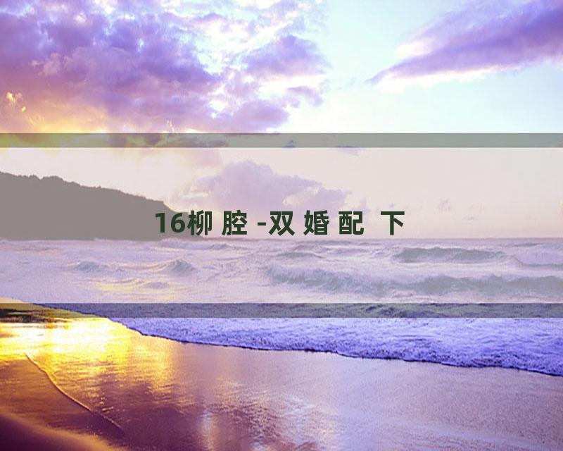 16柳腔-双婚配 下