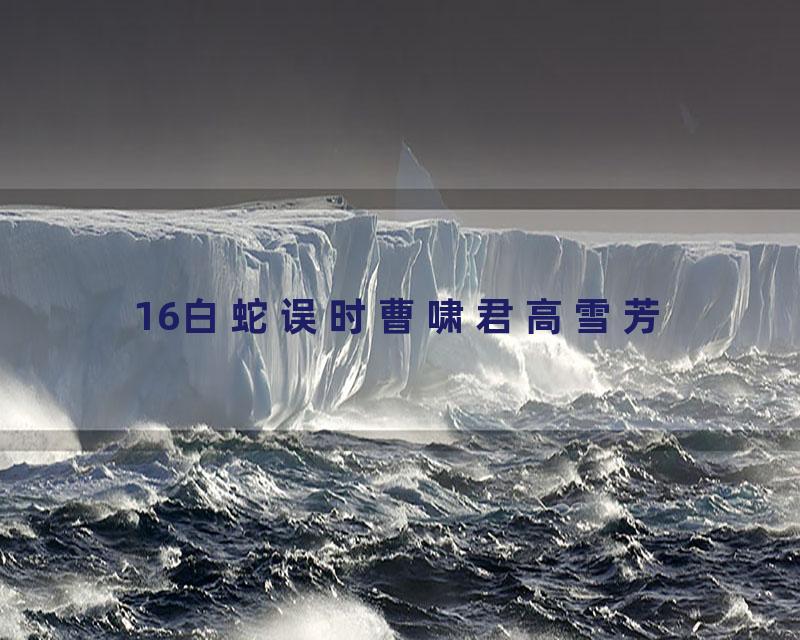16白蛇误时曹啸君高雪芳