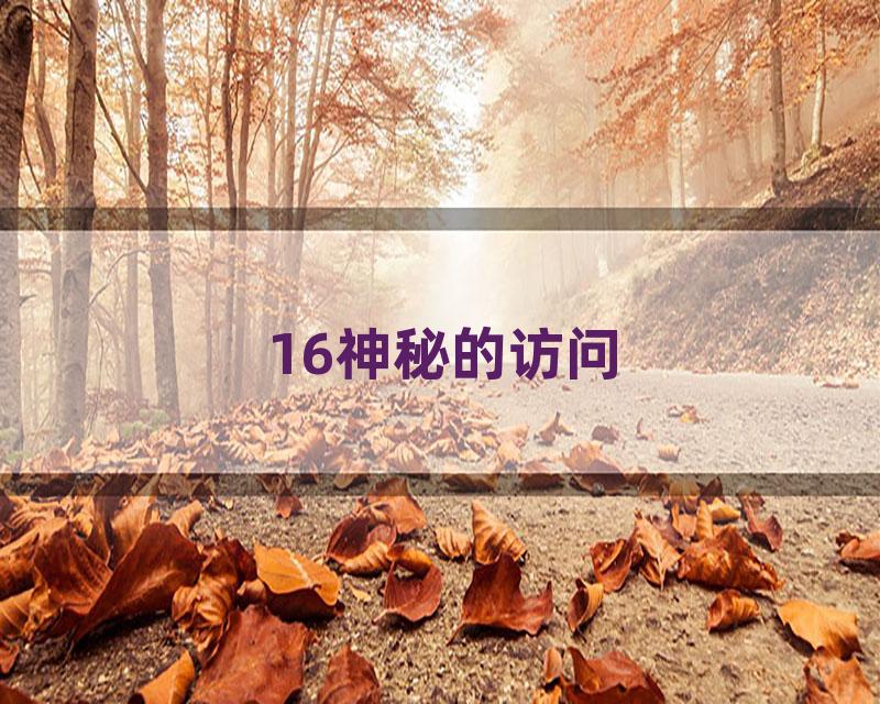 16神秘的访问