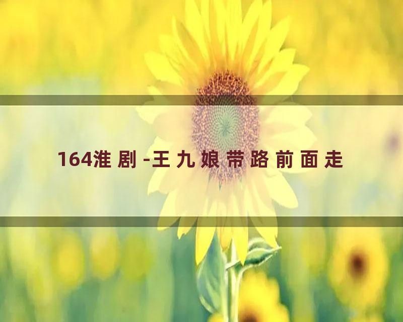 164淮剧-王九娘带路前面走