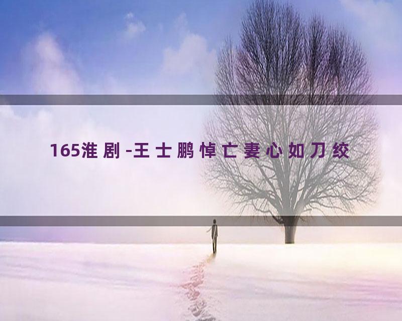 165淮剧-王士鹏悼亡妻心如刀绞