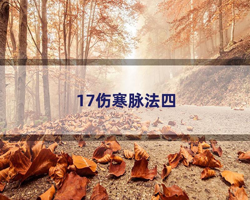 17伤寒脉法四